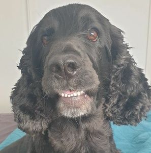 Meet your Posher, Marika